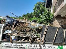 Best Residential Junk Removal  in Oquawka, IL
